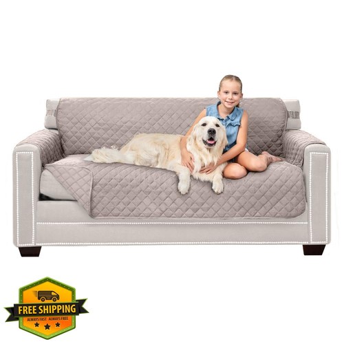 Sofa shield small couch light - sofa,